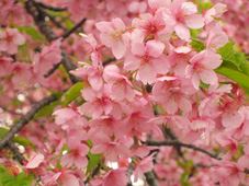 080401.jpg