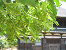 080712.jpg