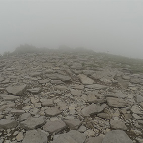 140722_6.jpg