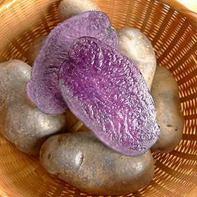 150909_4.jpg