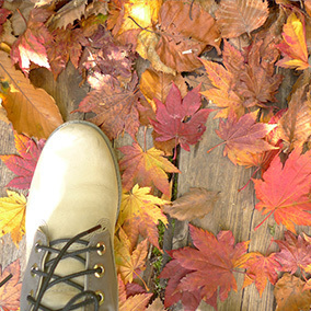 151018_1.jpg