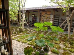 笠間090916.jpg