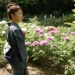 ぼたん園110517_4.jpg