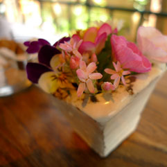 カフェ110406_2.jpg
