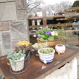 カフェ140216_3.jpg