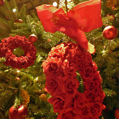 クリスマス111226_2.jpg