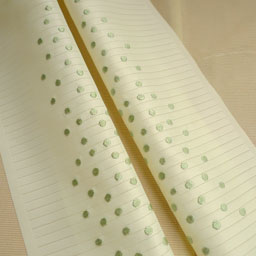 刺繍半襟130729_2.jpg