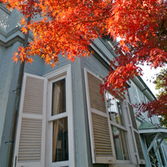 明治村111120_1.jpg