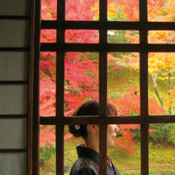 紅葉101117.jpg