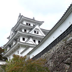 郡上八幡111126_1.jpg